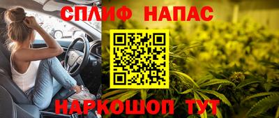 шишки Конаково