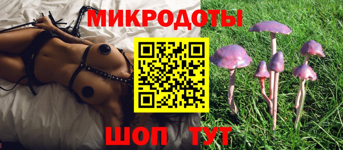 Кстово  Галлюциногенные грибы MAGIC MUSHROOMS  Галлюциногенные грибы мицелий  Вход с VPN 